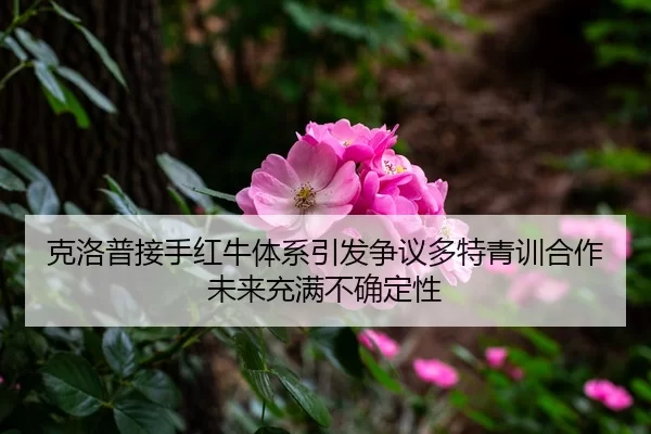 克洛普接手红牛体系引发争议多特青训合作未来充满不确定性