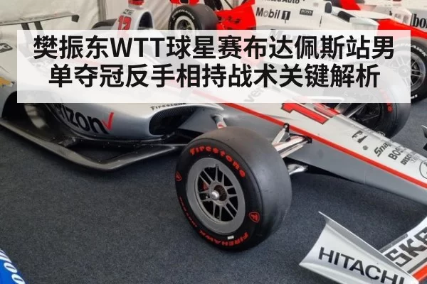 樊振东WTT球星赛布达佩斯站男单夺冠反手相持战术关键解析